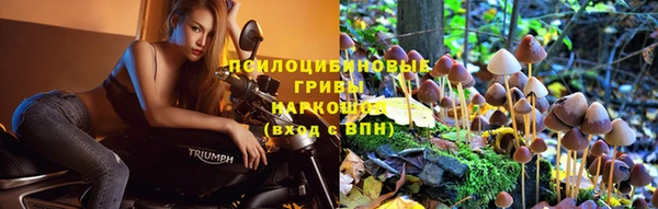 круглые Верея