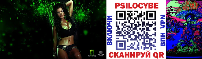 mega   Владикавказ  Псилоцибиновые грибы прущие грибы  где найти  